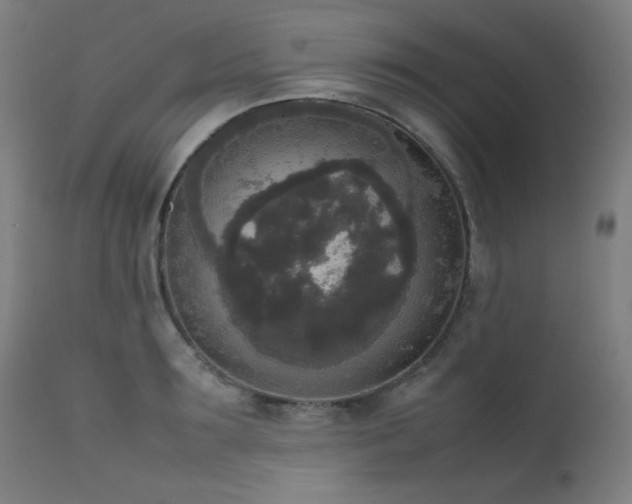 X0000111650899200907171542