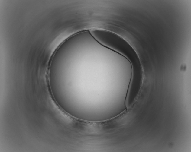 X0000111650901200907171542