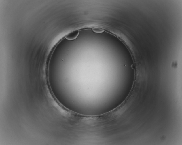 X0000111650902200907171542