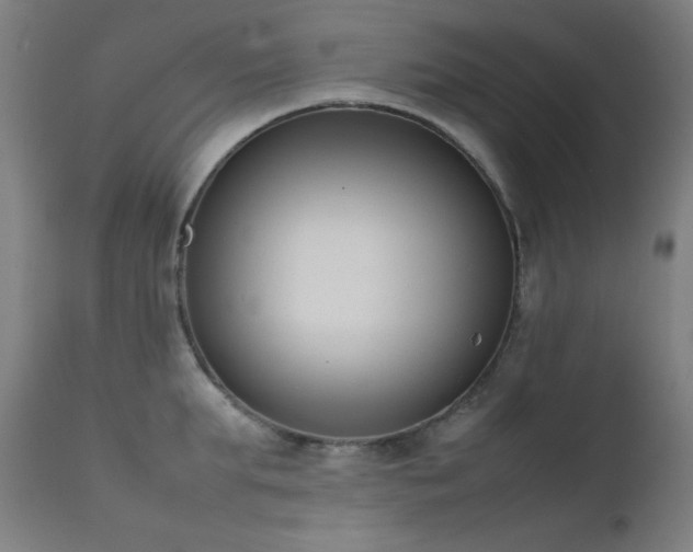 X0000111650903200907171542