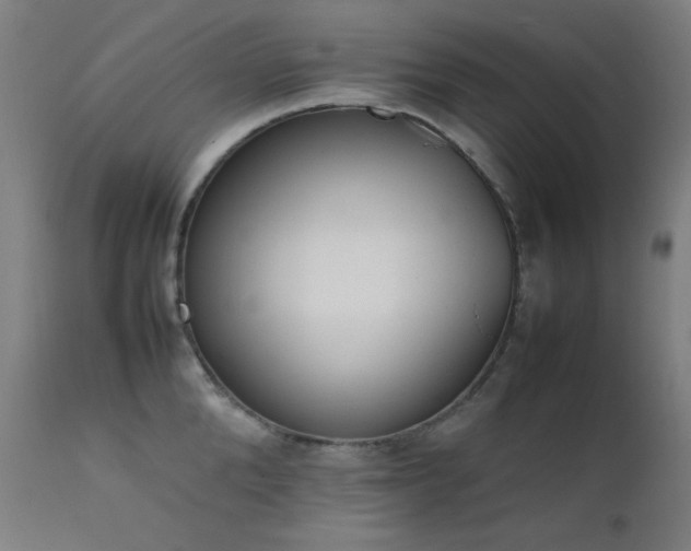 X0000111650904200907171542