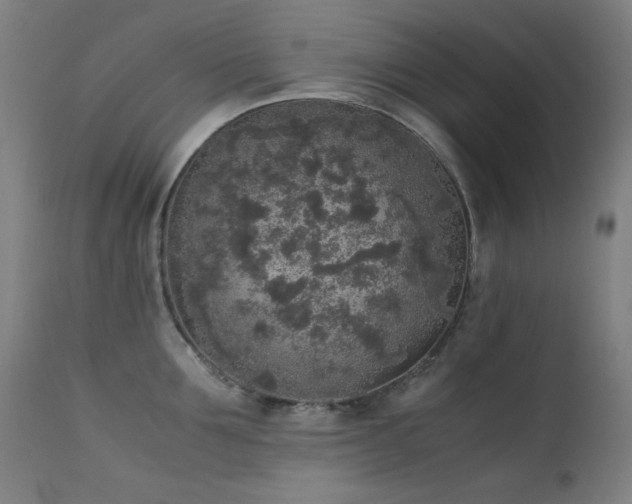 X0000111650907200907171542