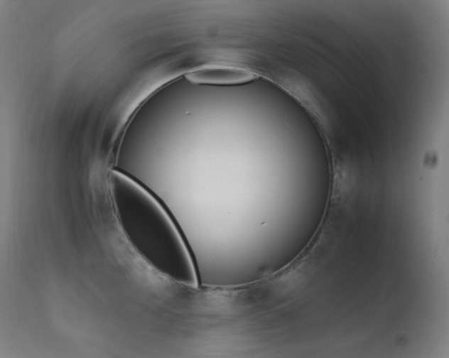 X0000111650908200907171542