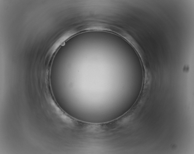 X0000111650909200907171542