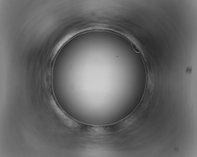 X0000111650911200907171542