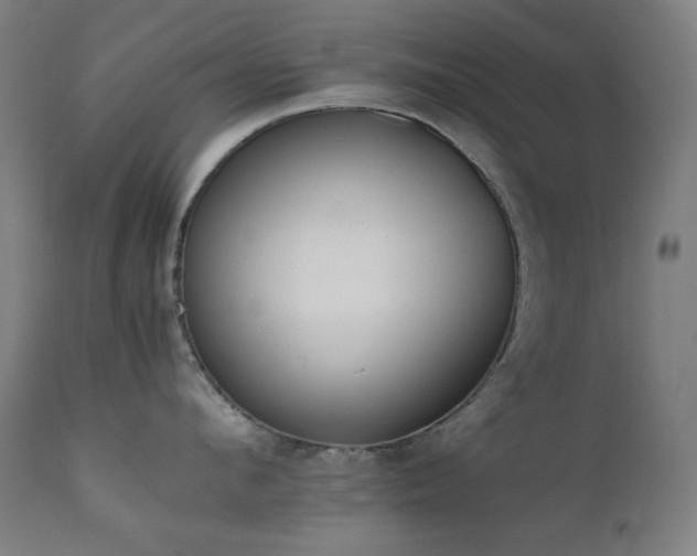 X0000111650912200907171542