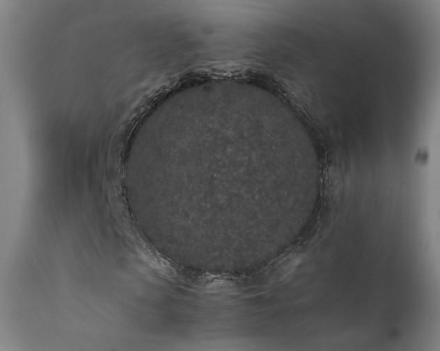 X0000111650913200907171541