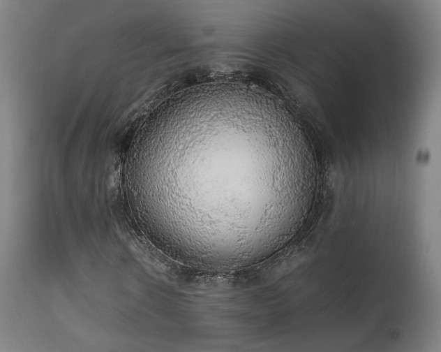 X0000111650914200907171541