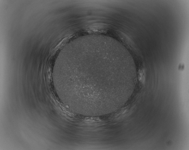 X0000111650915200907171541