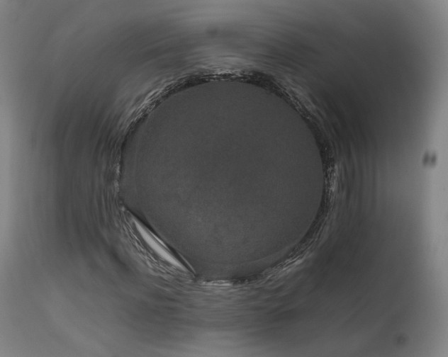X0000111650916200907171541