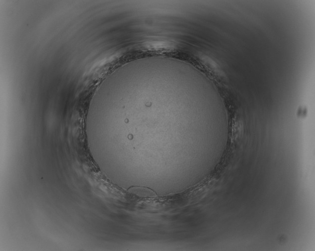 X0000111650917200907171541