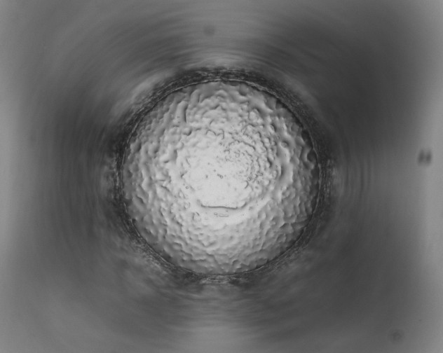 X0000111650918200907171541