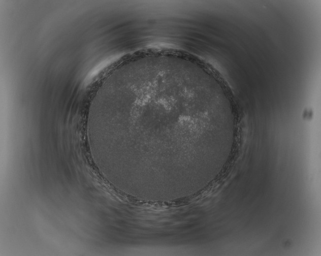 X0000111650919200907171541