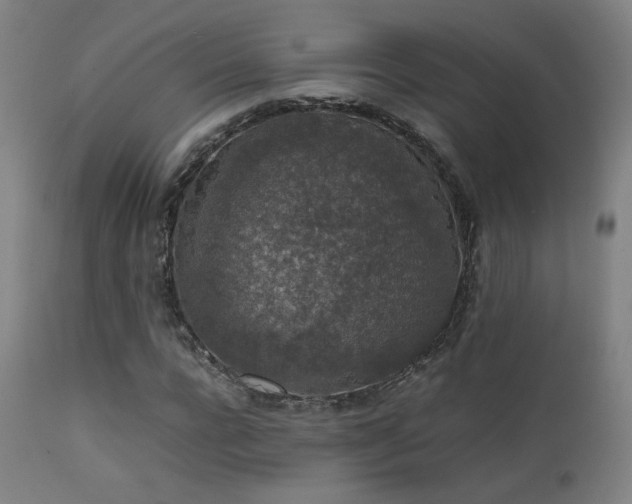 X0000111650920200907171541