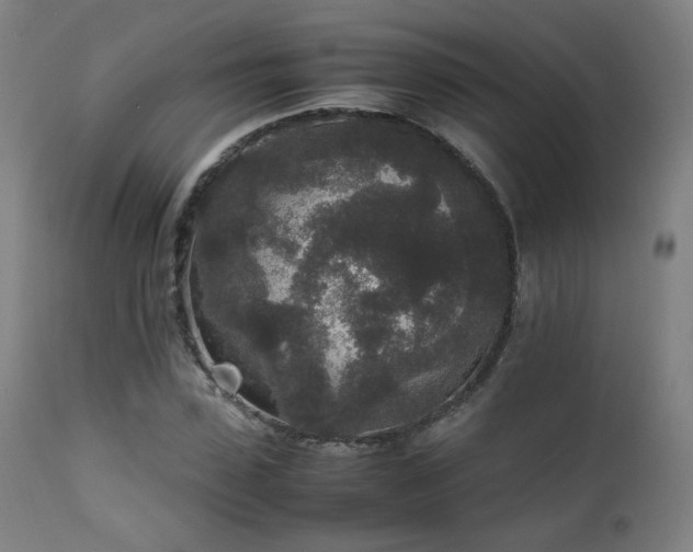 X0000111650923200907171541