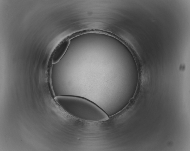 X0000111650924200907171541