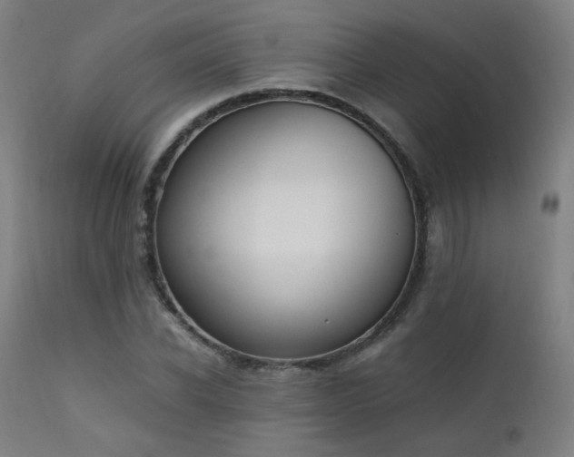 X0000111650926200907171541