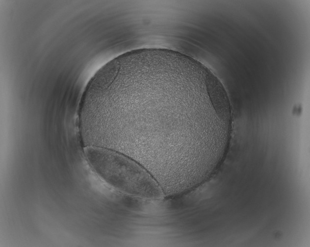X0000111650928200907171541