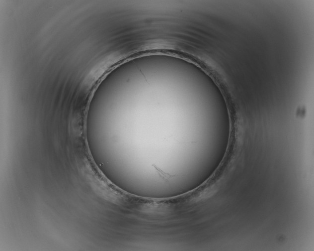 X0000111650929200907171541