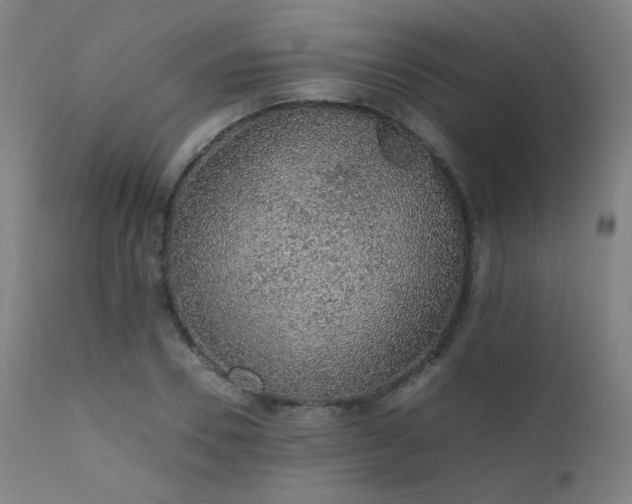 X0000111650930200907171541