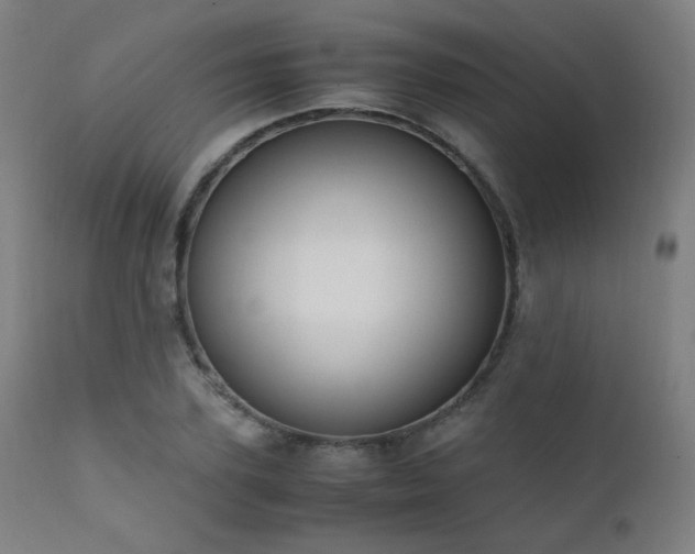 X0000111650931200907171541