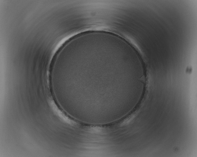X0000111650932200907171541