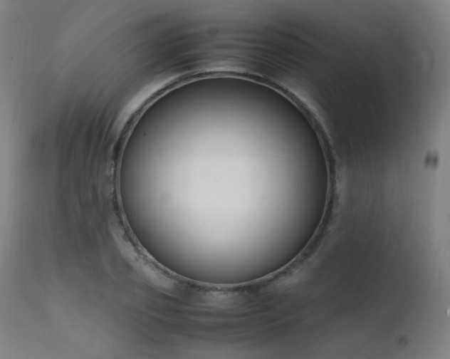 X0000111650933200907171541