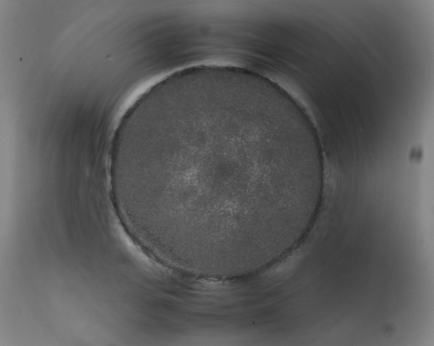 X0000111650935200907171541