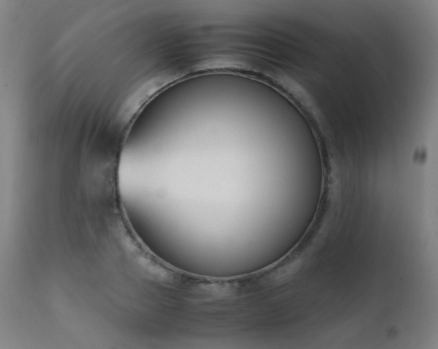 X0000111650937200907171541