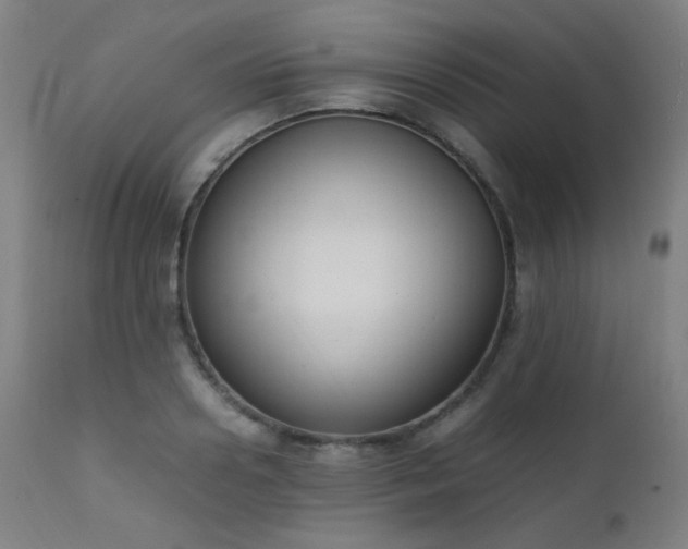X0000111650938200907171541