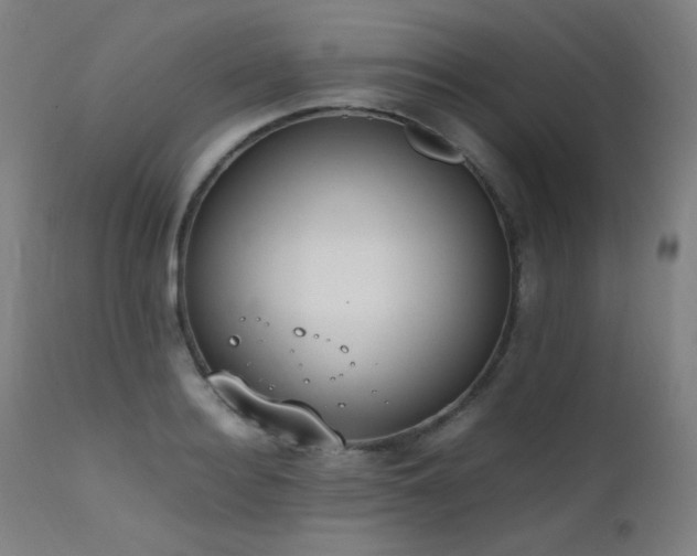 X0000111650940200907171541