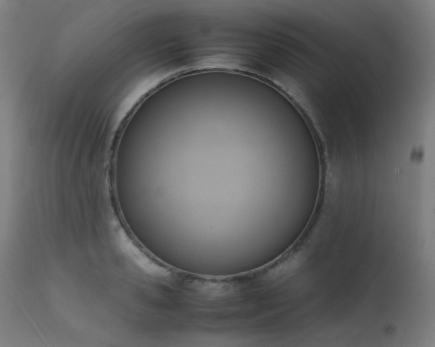 X0000111650941200907171541
