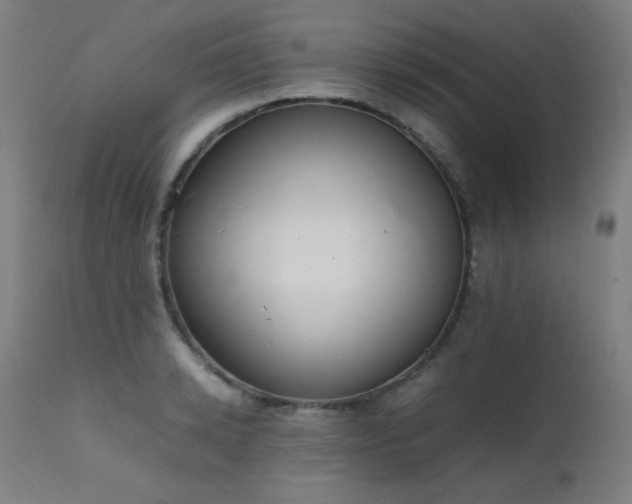 X0000111650942200907171541