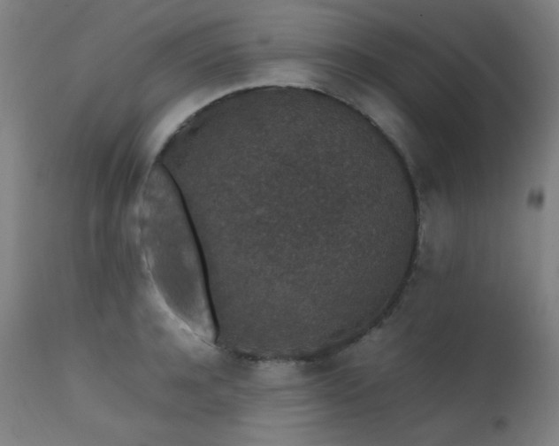 X0000111650944200907171541