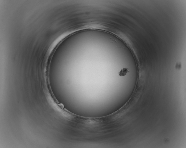 X0000111650947200907171541