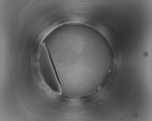 X0000111650948200907171541