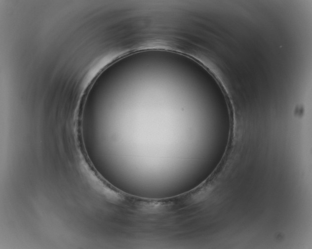 X0000111650949200907171542