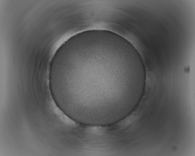 X0000111650950200907171542