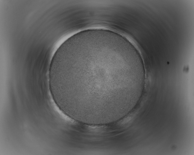 X0000111650951200907171542