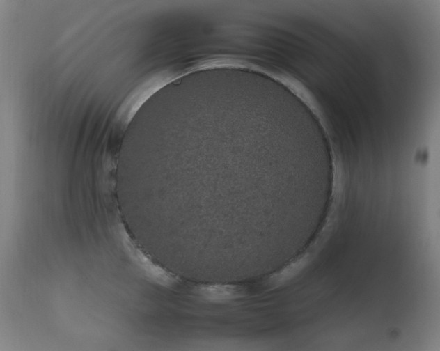 X0000111650953200907171542