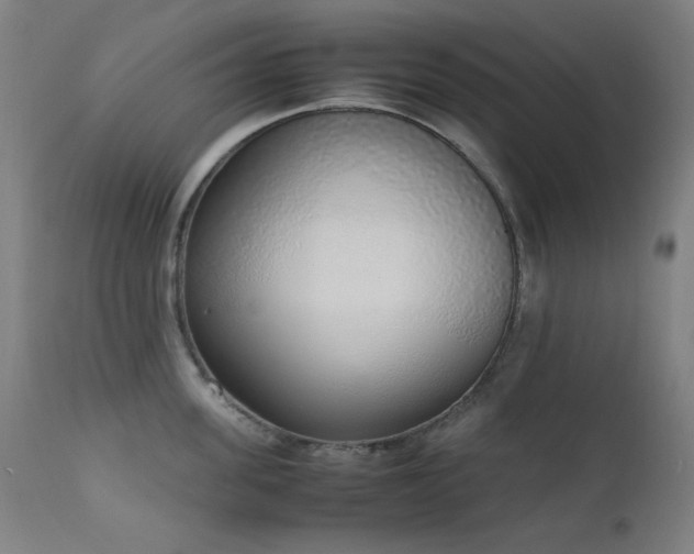 X0000111650955200907171542