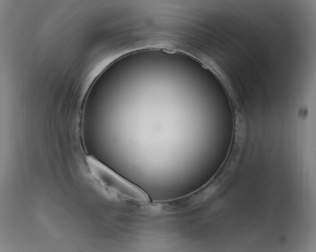 X0000111650956200907171542