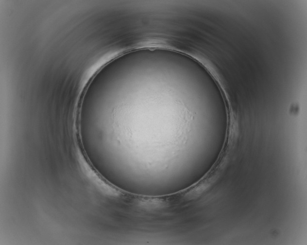 X0000111650957200907171542