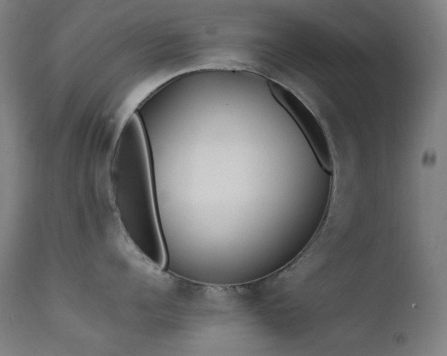 X0000111650960200907171542