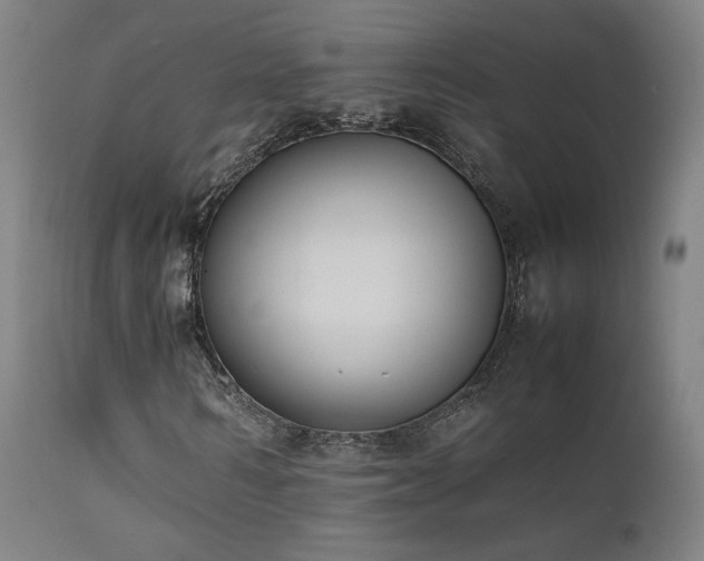 X0000111650962200907171541