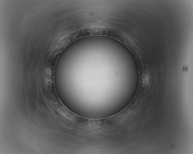 X0000111650964200907171541