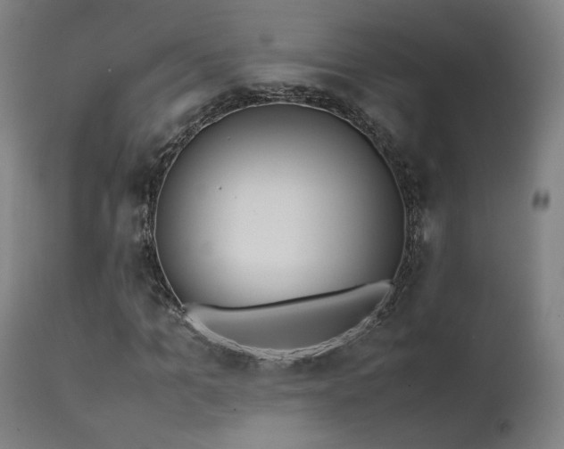 X0000111650965200907171541