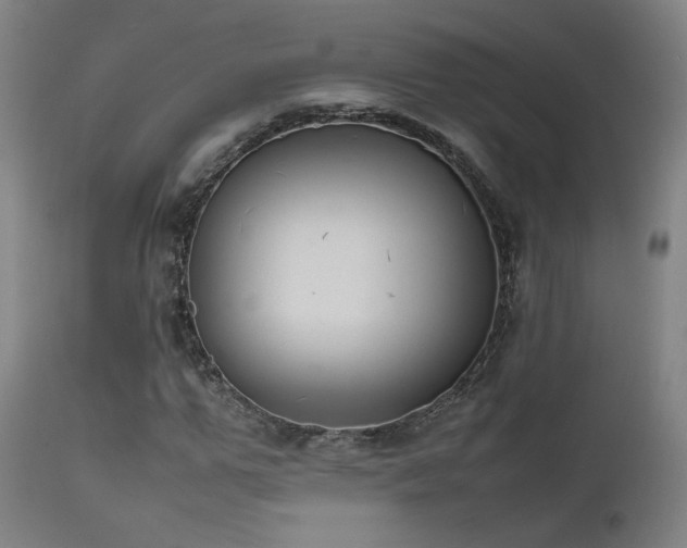 X0000111650967200907171541