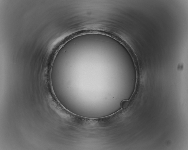 X0000111650971200907171541