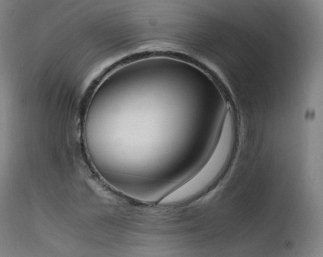 X0000111650973200907171541